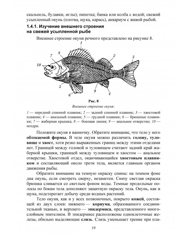 Позвоночные животные. Учебное пособие