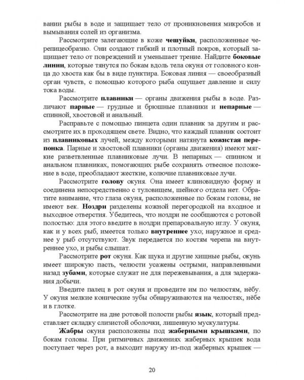 Позвоночные животные. Учебное пособие