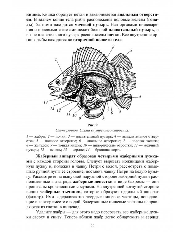 Позвоночные животные. Учебное пособие
