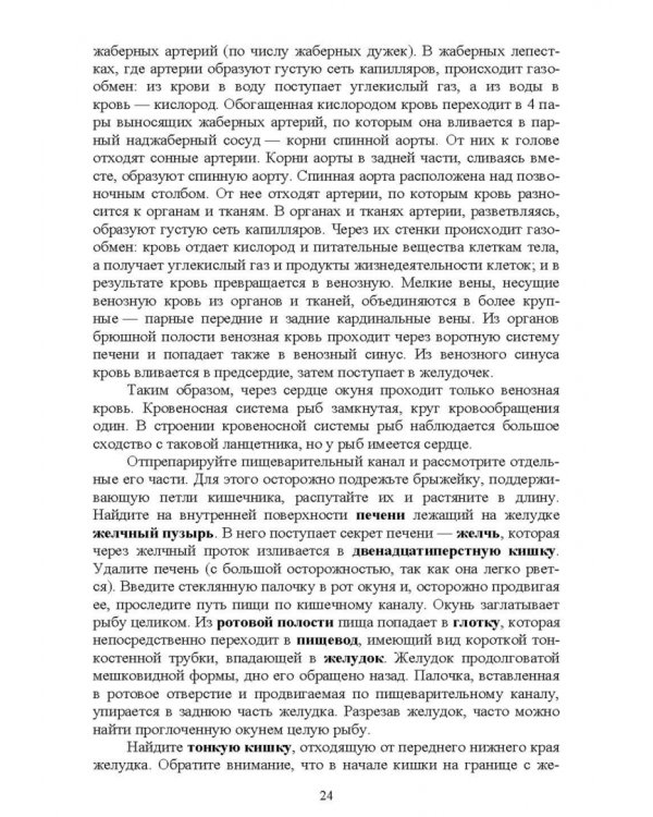 Позвоночные животные. Учебное пособие