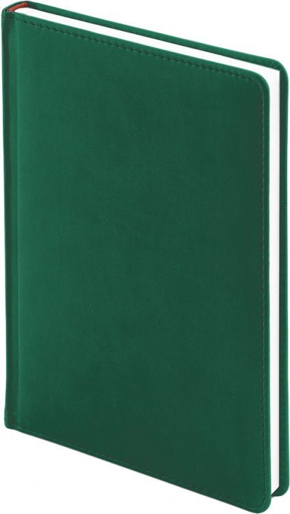 Обложка книги «Ежедневник на 2023 год Velvet, 168 листов, А5, темно-зеленый»