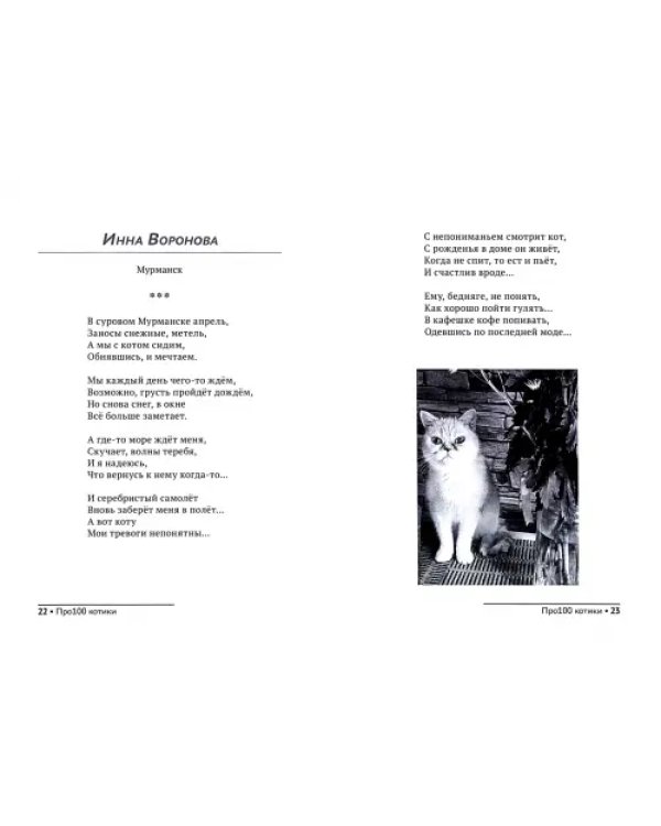 Про100 котики. №1