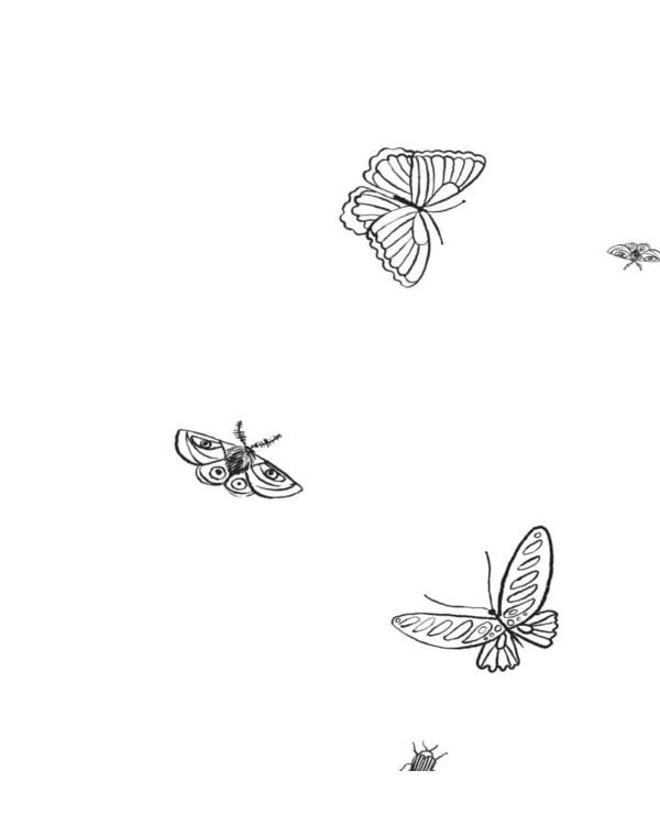 Внеклассная жукология