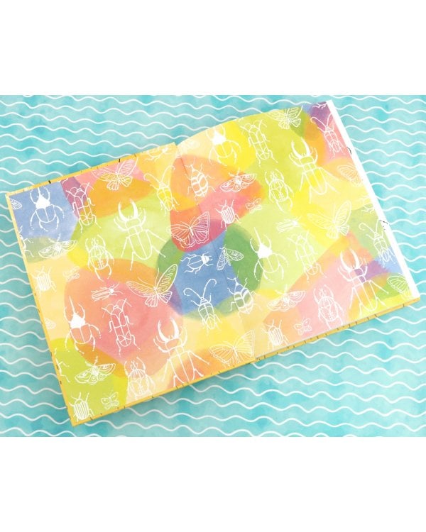 Внеклассная жукология