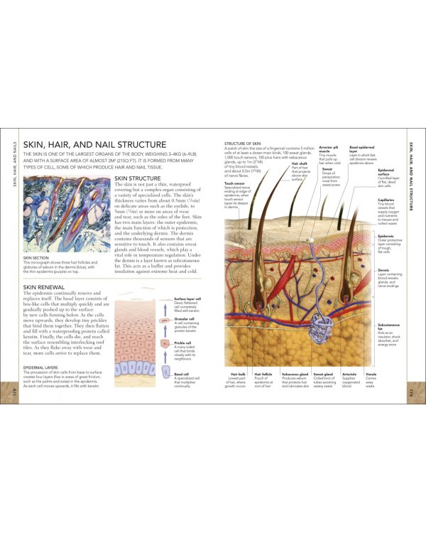 The Concise Human Body Book. An Illustrated Guide to its Structure, Function and Disorders