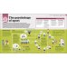 How Psychology Works. The Facts Visually Explained