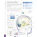 Brain Book. An illustrated guide to the structure, function, and disorders of the brain