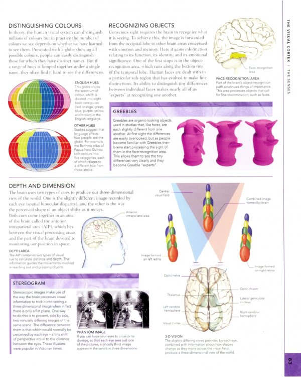Brain Book. An illustrated guide to the structure, function, and disorders of the brain