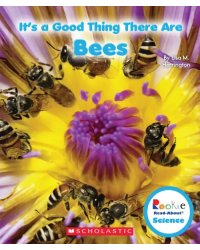 It's a Good Thing There Are Bees