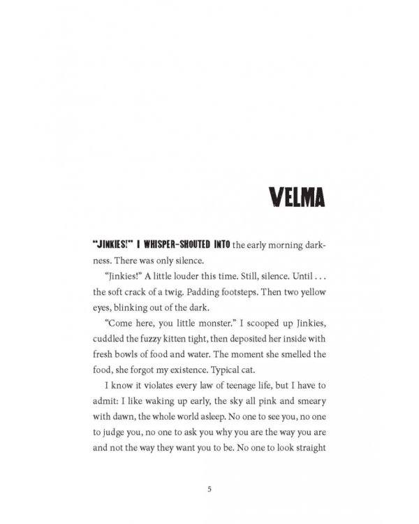 Дополнительное изображение книги «The Vanishing Girl»