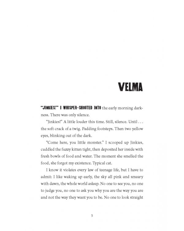 Дополнительное изображение книги «The Vanishing Girl»