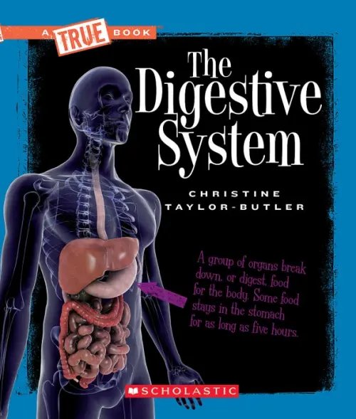 A True Book The Digestive System