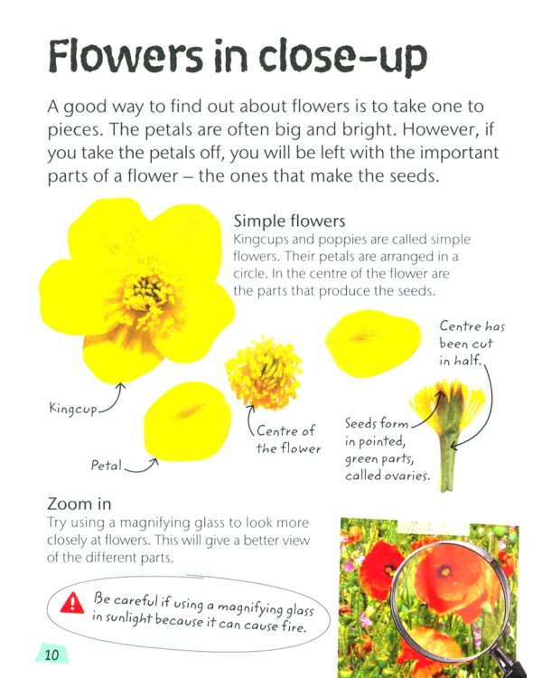 Дополнительное изображение книги «Nature Explorers. Flowers»