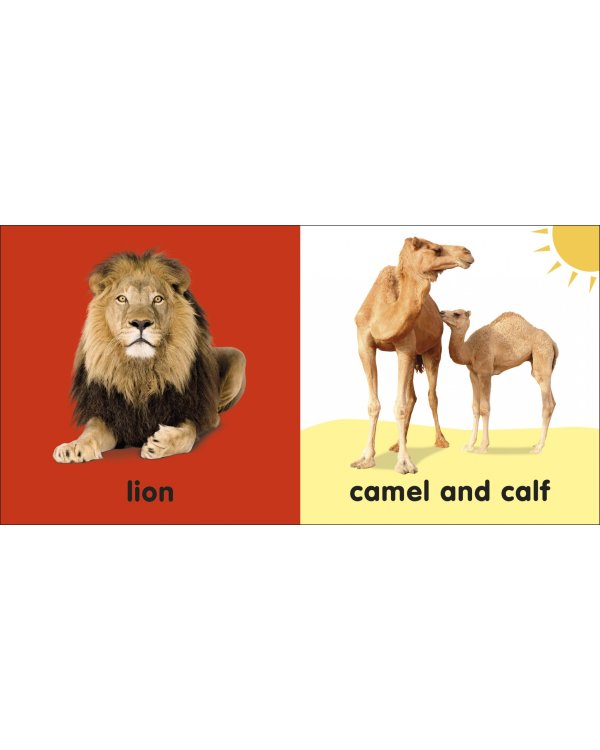 Bible Animals