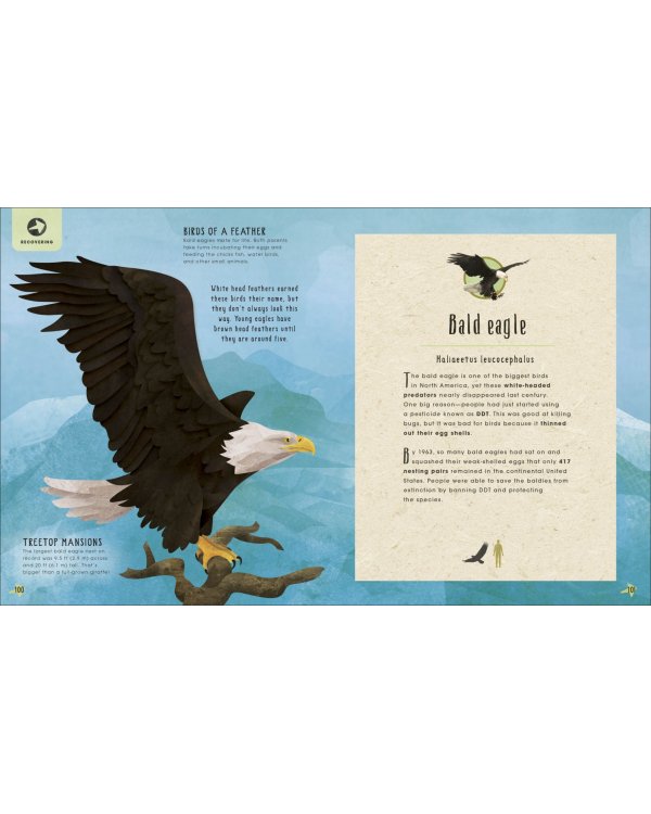 Animals Lost and Found. Stories of Extinction, Conservation and Survival