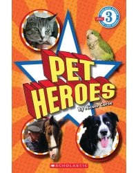 Pet Heroes. Level 3
