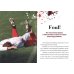 Flesh Wound. A Minor Injury Takes a Deadly Turn