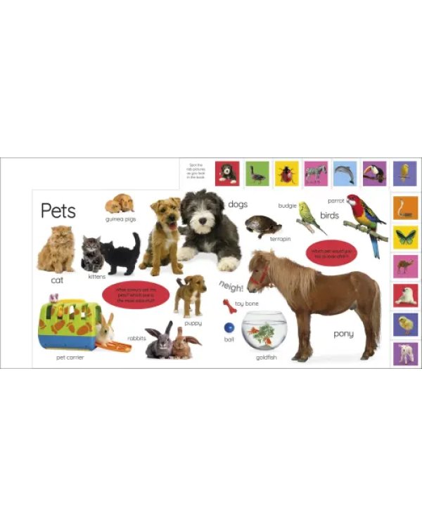 My First Animals. Let's Squeak and Squawk