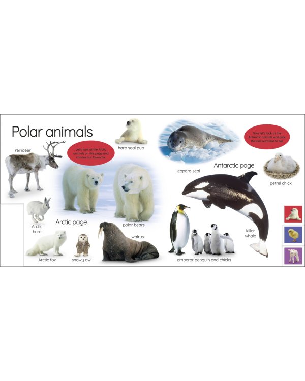 My First Animals. Let's Squeak and Squawk