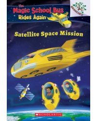 Satellite Space Mission