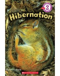 Hibernation. Level 2