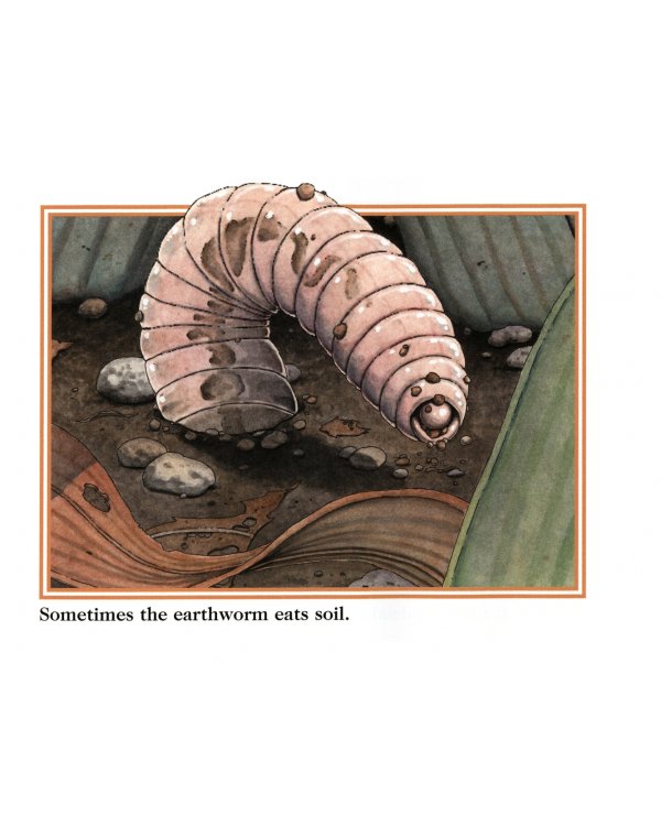 An Earthworm's Life