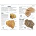 Handbook of Rocks and Minerals