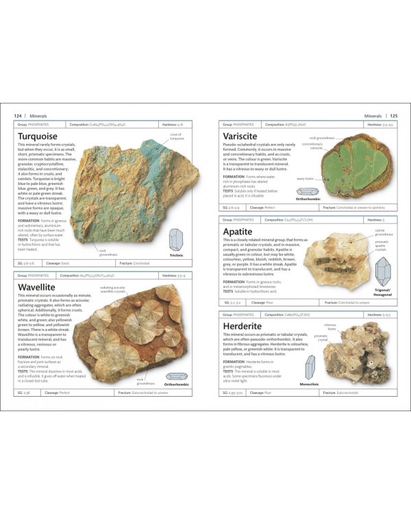 Handbook of Rocks and Minerals