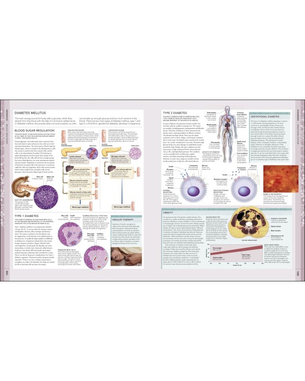 The Human Body Book