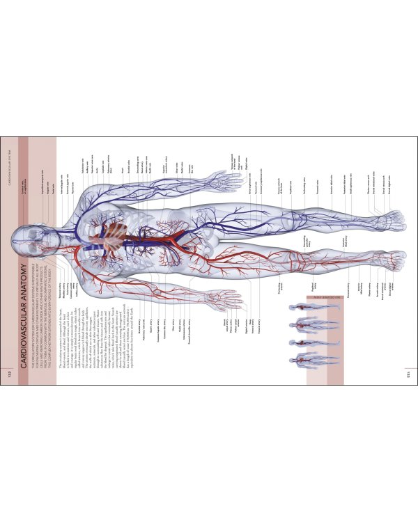 The Human Body Book