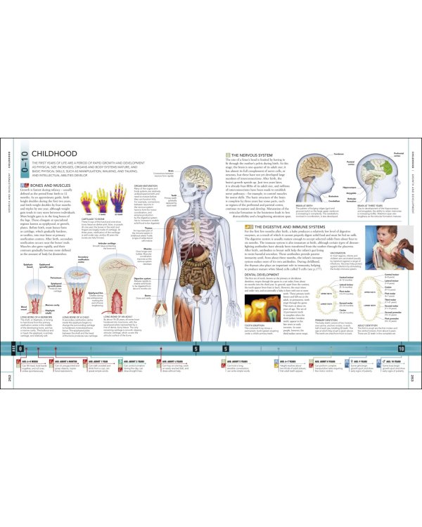 The Human Body Book