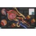 The Human Body Book