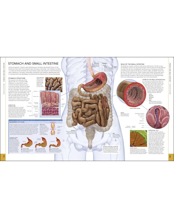 The Human Body Book