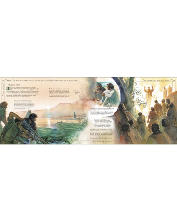 The Life of Jesus