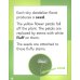 From Seed to Dandelion