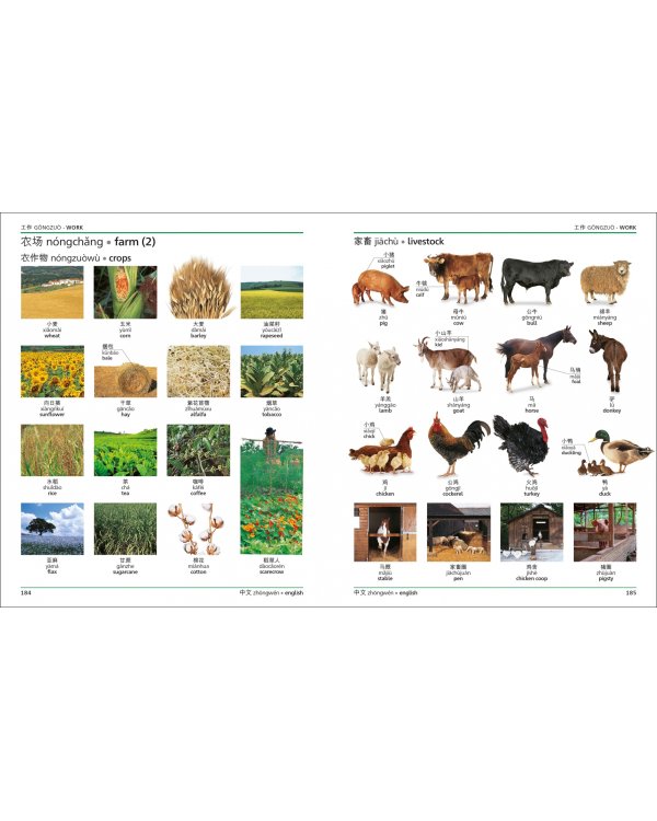 Mandarin Chinese-English Bilingual Visual Dictionary