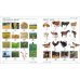 Mandarin Chinese-English Bilingual Visual Dictionary