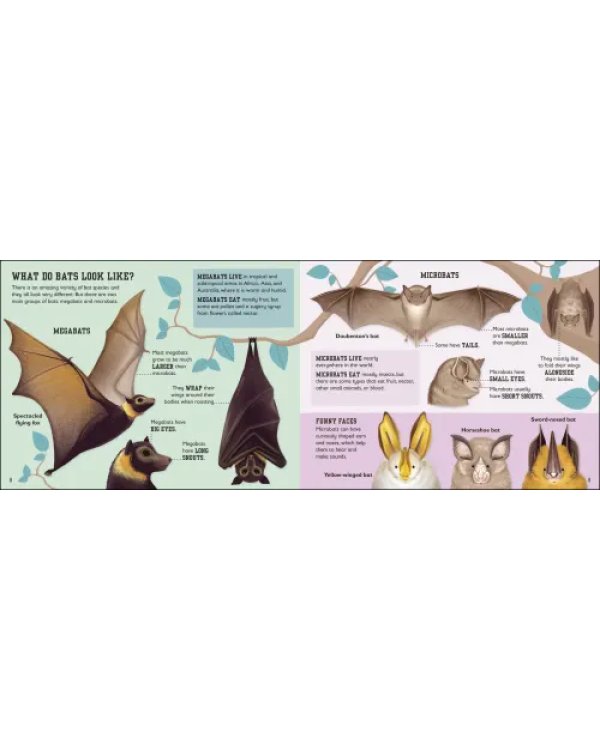 Дополнительное изображение книги «The Bat Book»