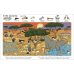 Find My Favourite Animals