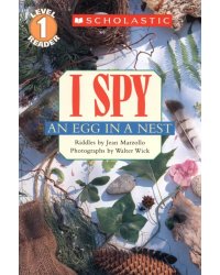 I Spy an Egg in a Nest. Level 1