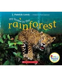 My Home in the Rainforest