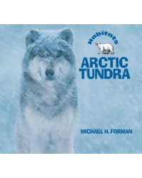 Arctic Tundra