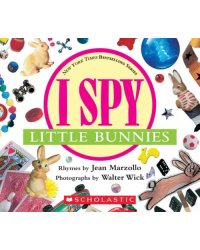 I Spy Little Bunnies