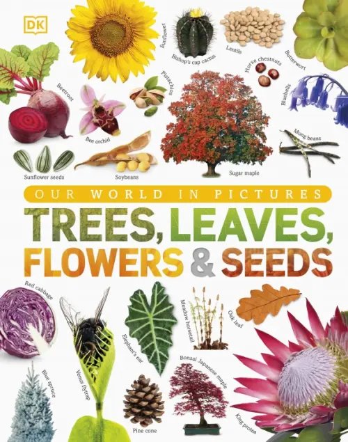 Trees, Leaves, Flowers &amp; Seeds
