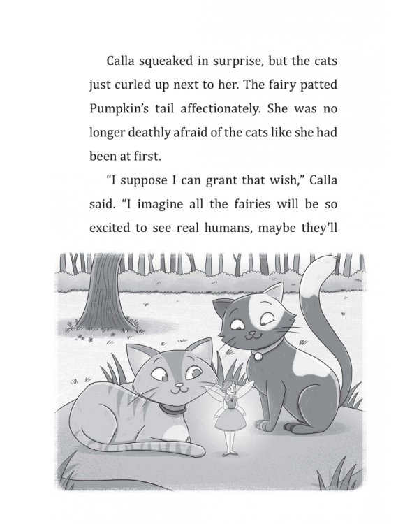 Дополнительное изображение книги «Fairies Forever»