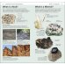 What's That Rock or Mineral?