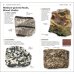 What's That Rock or Mineral?
