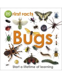 First Facts Bugs