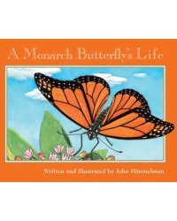 A Monarch Butterfly's Life