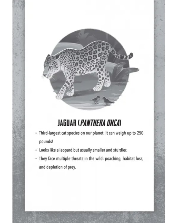 Chasing Jaguars